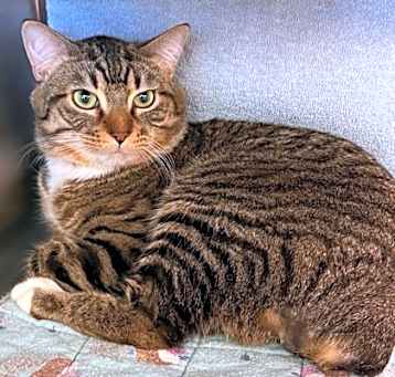 Photo of Natsu Dragneel