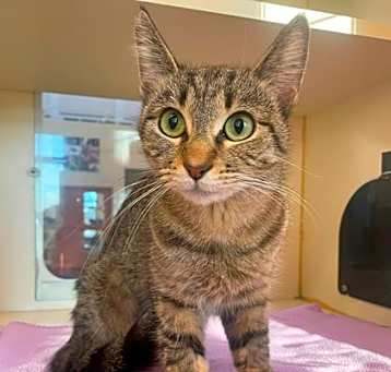 Photo of Pacha