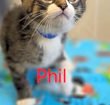Photo of Phil