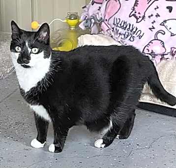 Photo of Hobbs