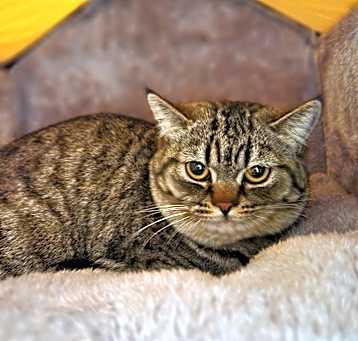 Photo of TSUKI