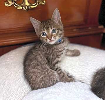 Photo of Blue