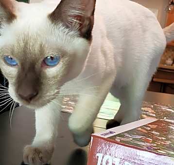 Photo of Jack