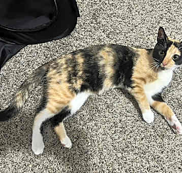 Photo of Princess