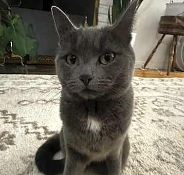 Photo of HeiHei