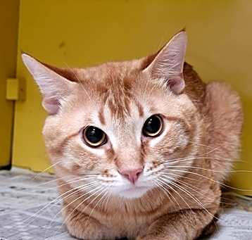 Photo of NOVA