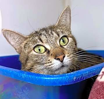 Photo of Birdie