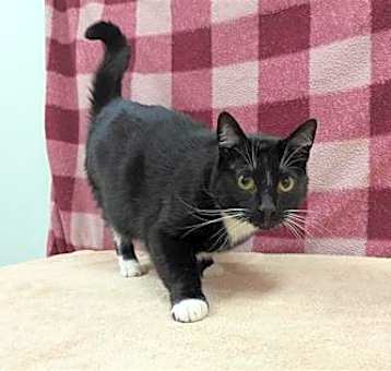 Photo of Louie
