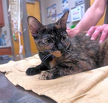 Photo of Trudy- 050702T
