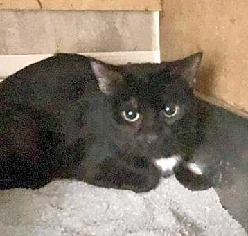 Photo of Quill