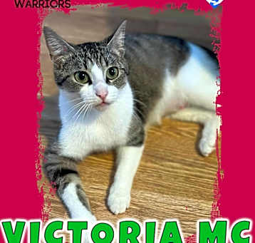 Photo of Victoria MC