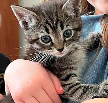 Photo of Diamond