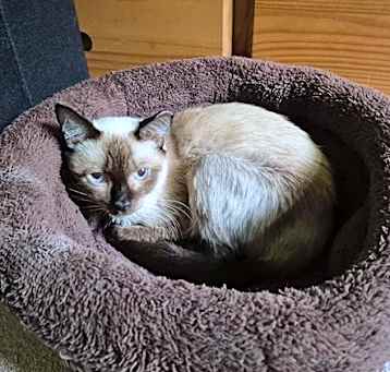 Photo of TOOTS