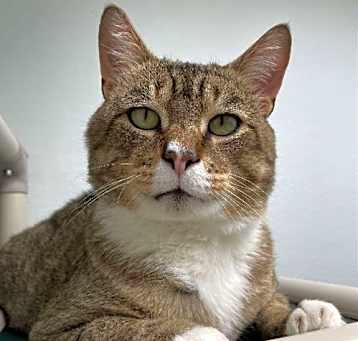 Photo of Otis