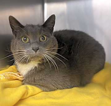 Photo of Pennywinkle