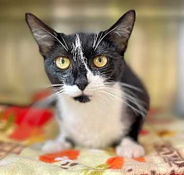 Photo of Leri