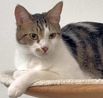 Photo of Sebastian