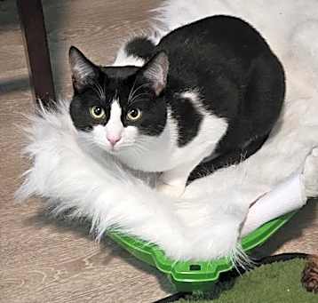 Photo of Tom
