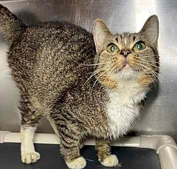 Photo of Dorothy