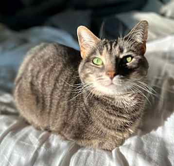Photo of Riley