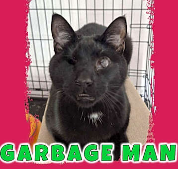 Photo of Garbage Man