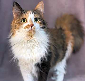 Photo of Mia