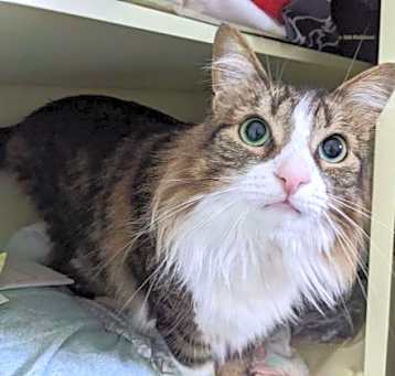 Photo of Fuzzy