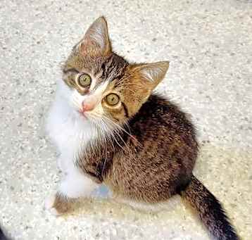 Photo of Ivy