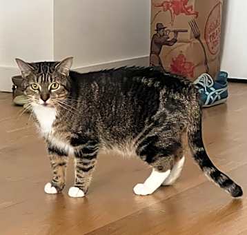 Photo of Hilda