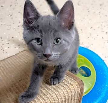 Photo of Asher