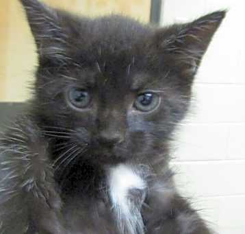 Photo of Octavia