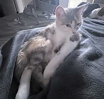 Photo of Cali