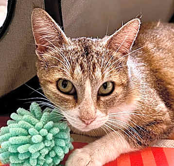 Photo of Molly
