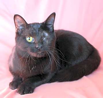 Photo of Bernadette