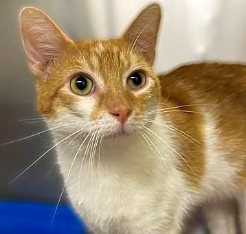 Photo of Stanley
