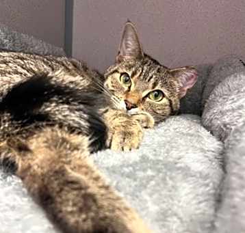 Photo of Ruby