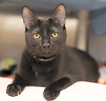 Photo of SPOOKY