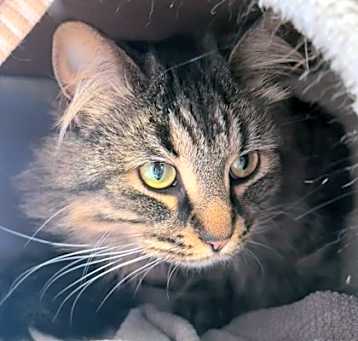 Photo of Baby