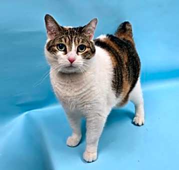 Photo of Jasmine