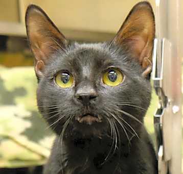 Photo of Moony