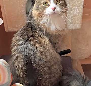 Photo of Tabitha