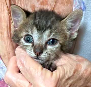 Photo of Stormy