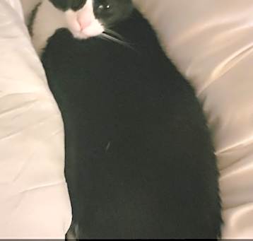 Photo of Vinny
