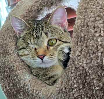 Photo of Princess Uno