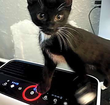 Photo of Miss Buttons