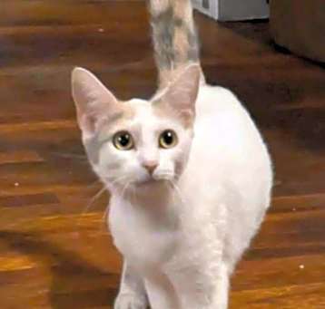 Photo of Hera