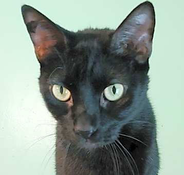 Photo of Little Ricky
