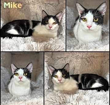 Photo of Mike