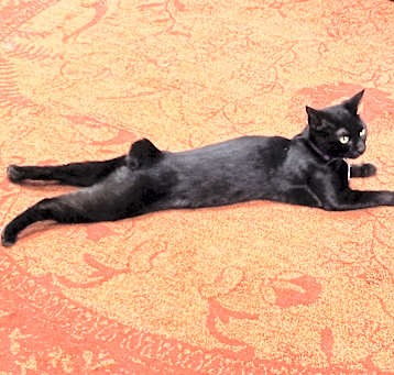Photo of Margo