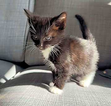 Photo of Welly